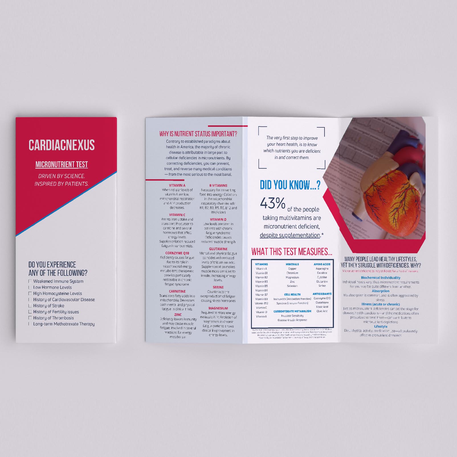 Triplefold brochure design